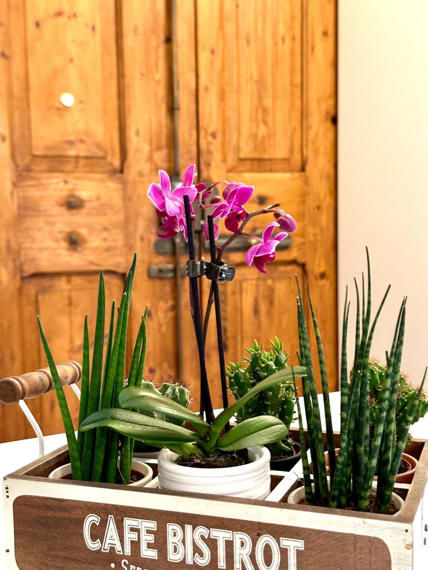 볼로냐 Casa Belfiore 아파트 외부 사진